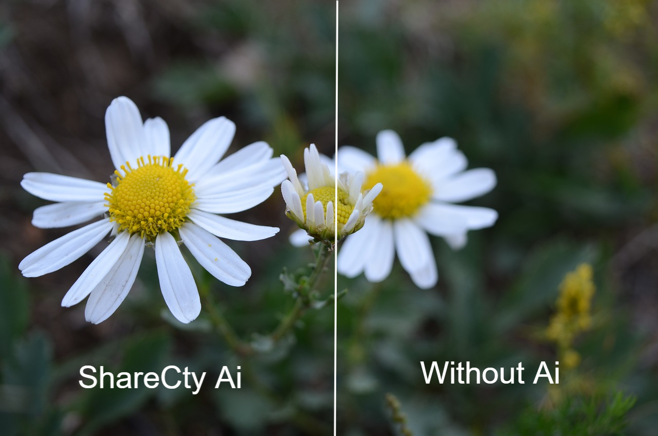 AI Photo Enhancer Before and After